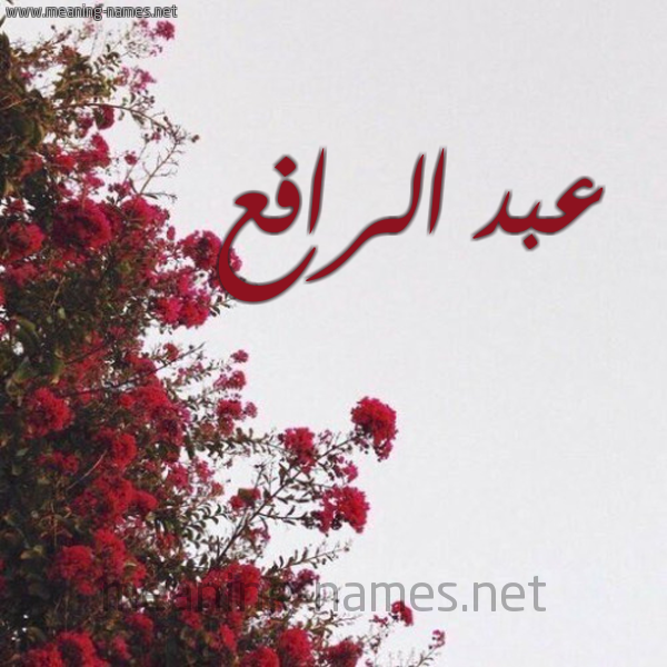 شكل 18 صوره الورد الأحمر للإسم بخط رقعة صورة اسم عبد الرافع ABD-ALRAFA